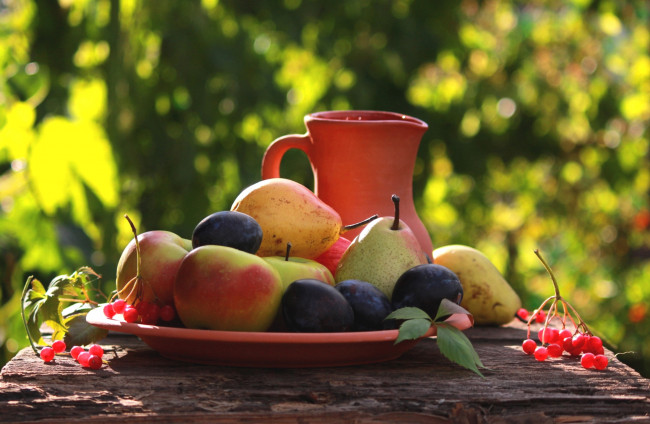 Обои картинки фото еда, фрукты, ягоды, груши, сливы, калина, кувшин, яблоки