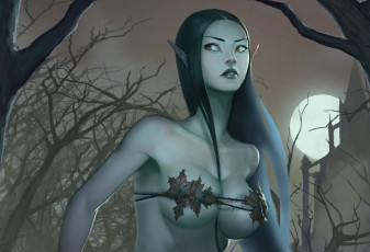 Картинка фэнтези эльфы грудь волосы взгляд эльфийка арт эротика луна ночь