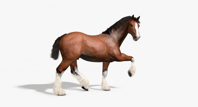 Обои картинки фото 3д графика, животные , animals, фон, лошадь