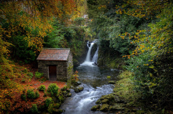 Картинка природа водопады осень лес листья деревья ручей камни водопад мох великобритания домик cumbria rydal