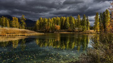 Картинка природа реки озера монтана