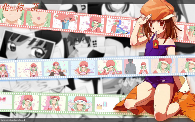 Обои картинки фото аниме, bakemonogatari, sengoku nadeko, шляпа, пиджак, девушка, купальник
