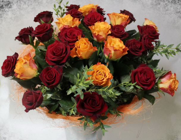 Обои картинки фото цветы, розы, много, бордовые, оранжевые