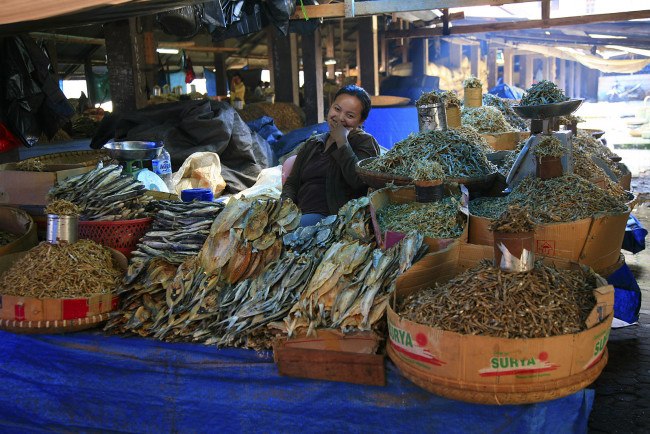 Обои картинки фото еда, рыба, морепродукты, суши, роллы, мелкая, крупная, много
