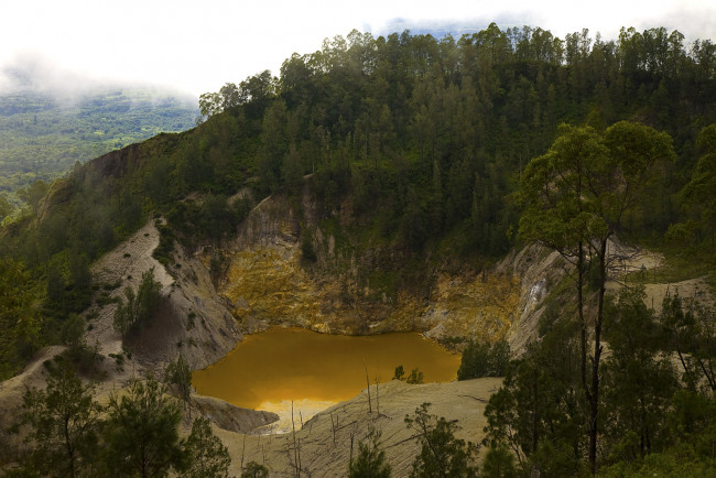 Обои картинки фото природа, реки, озера, озеро, кратер, лес