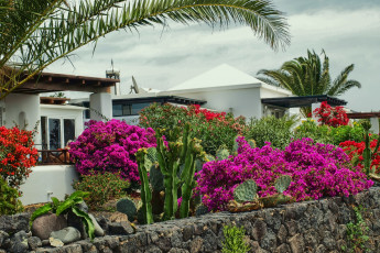 Картинка испания канарские ва Яйса цветы разные вместе дома пейзаж