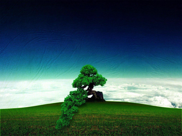 Обои картинки фото разное, компьютерный, дизайн, трава, дерево, небо