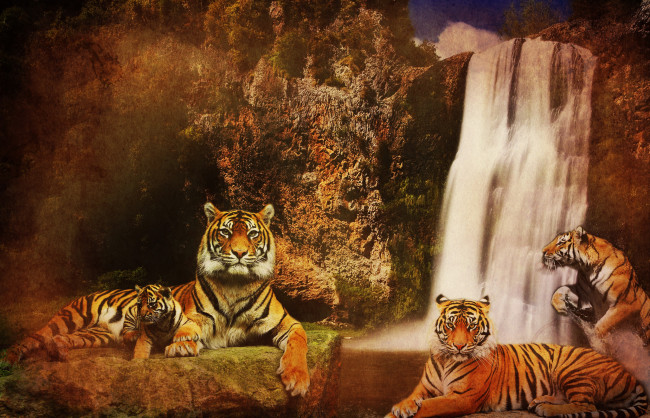 Обои картинки фото разное, компьютерный, дизайн, водопад, горы, фон, кошки, скалы, вода, тигры