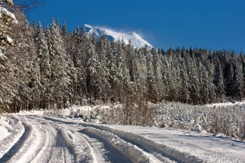 Картинка природа зима национальный парк америка сша