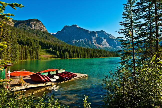 Обои картинки фото emerald lake yoho national park,  canada, природа, реки, озера, yoho, парк, canada, park, горы, emerald, lake, озеро