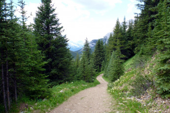 Картинка природа дороги дорога лес горы