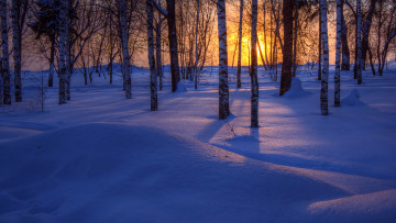 Картинка природа зима деревья снег закат лес