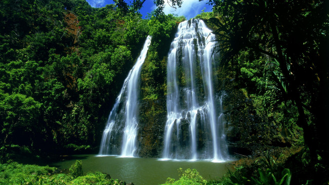 Обои картинки фото природа, водопады, поток, скала, лес