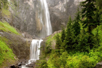 Картинка природа водопады елки поток вода