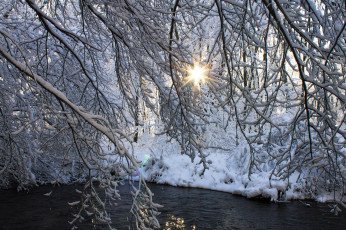 Картинка природа зима река деревья снег
