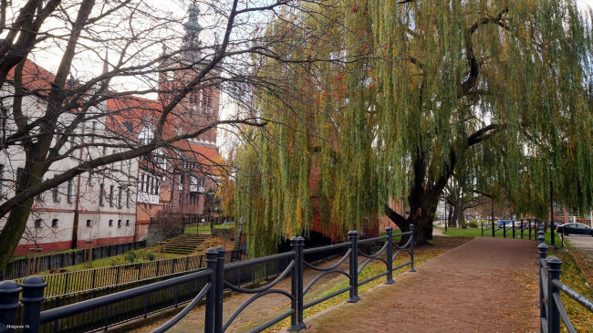 Обои картинки фото города, гданьск , польша, аллея, деревья, здания