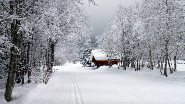 Обои картинки фото природа, зима, иней, деревья, снег, сугробы