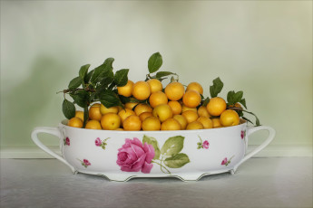 Картинка еда персики +сливы +абрикосы стол стена желтые урожай плоды тарелка миска натюрморт сливы вазочка слива керамика
