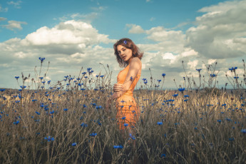 Картинка девушки -+брюнетки +шатенки модель оранжевое платье поле лето цветы на открытом воздухе