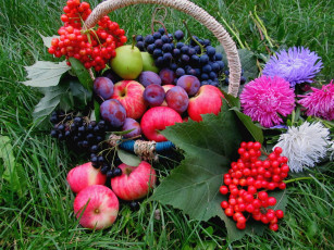 обоя еда, фрукты, ягоды, астры, яблоки
