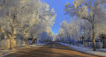 Картинка природа зима деревья машины дорога мороз иней