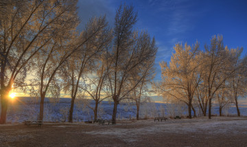 Картинка природа зима солнце закат поле иней ветки небо деревья