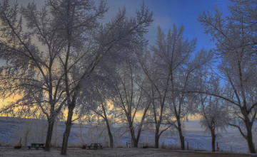 Картинка природа зима небо иней ветки деревья