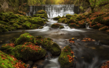 Картинка природа водопады осень камни река каскад листья мох швейцария водопад