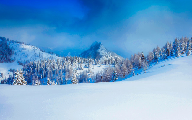 Обои картинки фото природа, зима, деревья, снег, горы