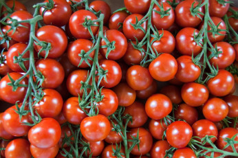 Картинка еда помидоры спелые много урожай