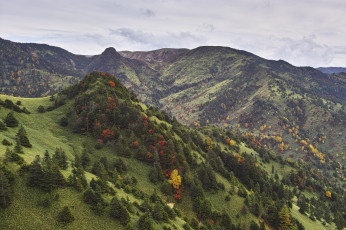 Картинка природа горы takaten лес склоны