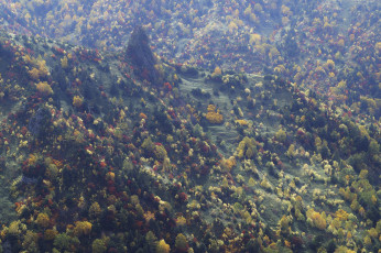 Картинка природа лес склоны деревья осень горы takaten