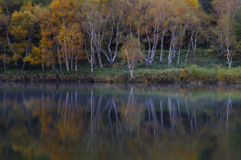 Картинка природа реки озера туман осень утро деревья вода takaten