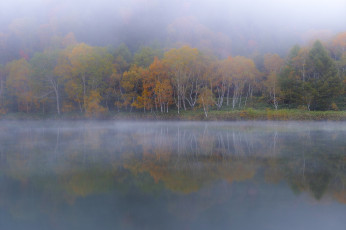 Картинка природа реки озера вода takaten туман осень утро деревья