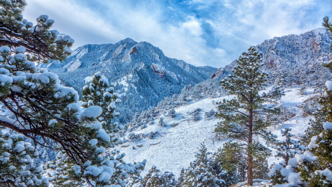 Обои картинки фото природа, зима, снег, сосны, горы