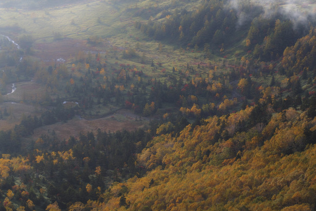 Обои картинки фото природа, горы, takaten, осень, туман, утро, деревья, склоны, лес