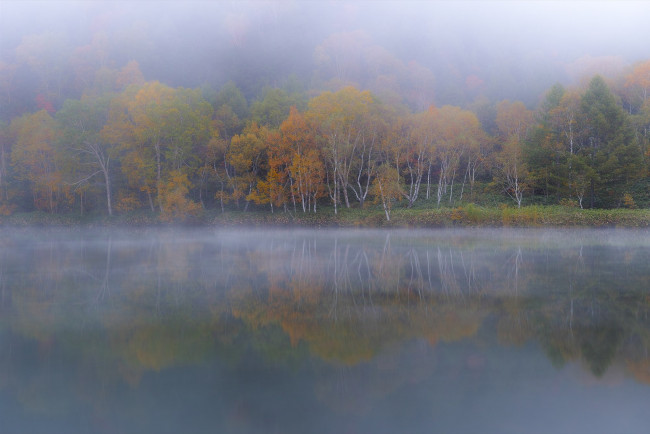 Обои картинки фото природа, реки, озера, вода, takaten, туман, осень, утро, деревья