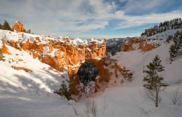 Картинка природа горы снег каньон деревья зима арка скалы небо