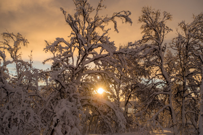 Обои картинки фото природа, зима, рассвет