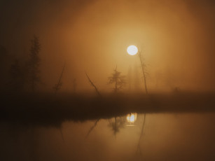 Картинка природа реки озера пейзаж вода ночь болото туман
