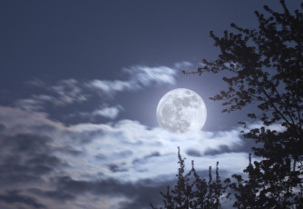 Картинка природа облака полнолуние луна ночь небо