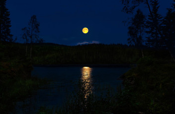 Картинка природа пейзажи озеро дорожка ночь деревья лес пейзаж луна