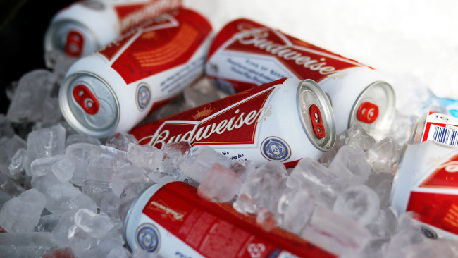 Обои картинки фото бренды, budweiser, пиво