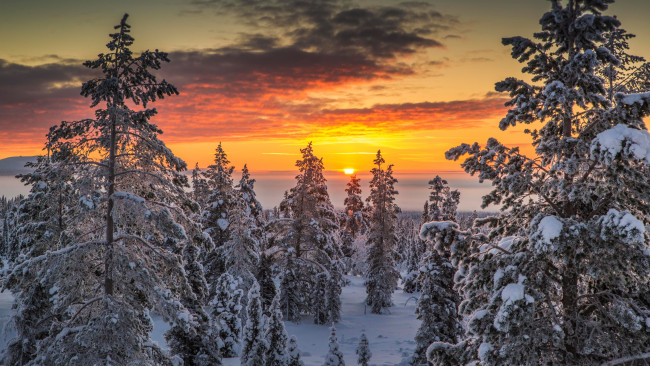 Обои картинки фото природа, зима, -32, финляндия, лапландия