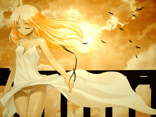 Обои картинки фото аниме, *unknown, другое, девушка, солнце, закат, птицы, волосы, небо, облака, лента