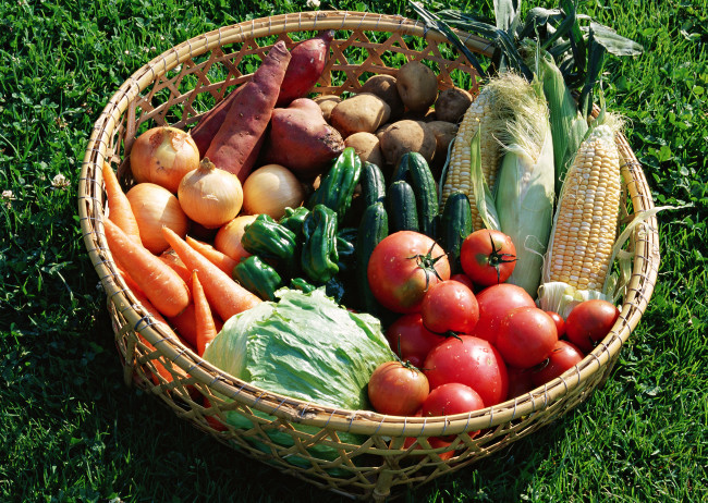 Обои картинки фото еда, овощи, корзина, помидоры, томаты