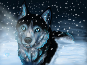 Картинка рисованные животные +волки морда