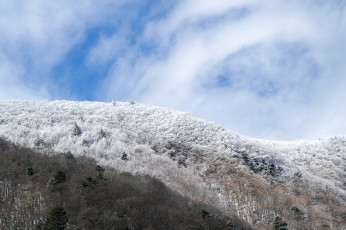 Картинка природа зима деревья облака горы