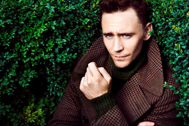 Обои картинки фото мужчины, tom hiddleston, том, хидлстон, зелень, листья, актёр, лицо, портрет