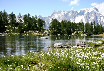 Картинка arpy+lake+италия природа реки озера деревья цветы горы италия озеро